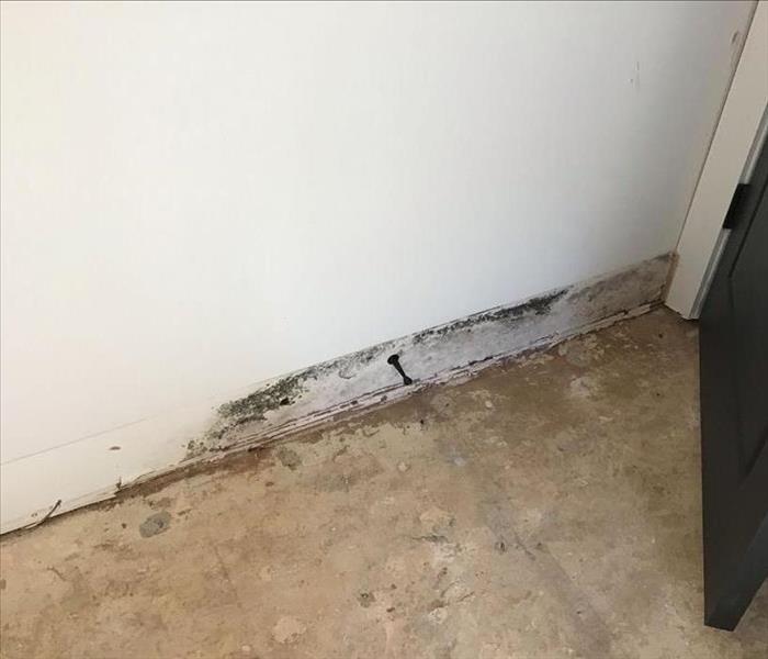 Mold behind some cabinets