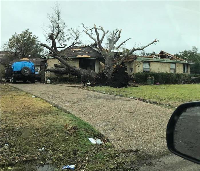 fallen tree resting on house